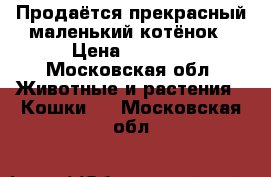 Продаётся прекрасный маленький котёнок › Цена ­ 5 000 - Московская обл. Животные и растения » Кошки   . Московская обл.